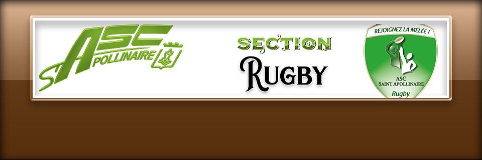 section rugby